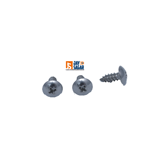 SS 304 Self Tapping Screw 1.1
