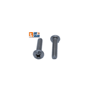 SS 304 Trus Head Bolt