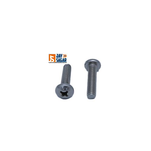 SS 304 Trus Head Bolt
